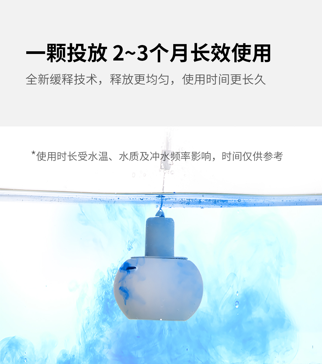 1_08.jpg